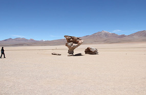 Stone Tree (Arbol de Piedra)