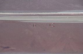 Laguna Colorada