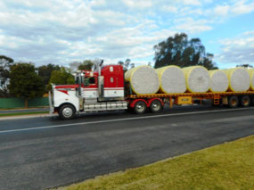 Bales of cotton