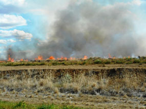 Burning to clear the grass