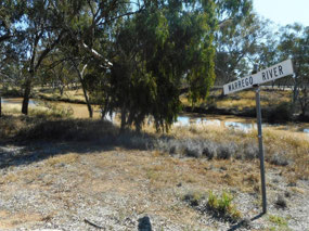 Warrego River at Charleville