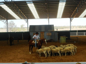 Outback Show