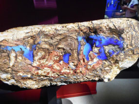 Boulder opal