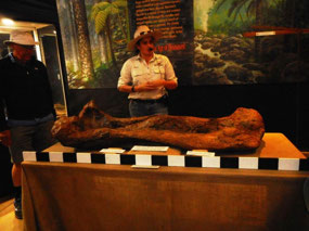 A real dinosaur bone!