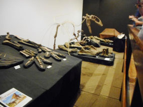 Collection Room