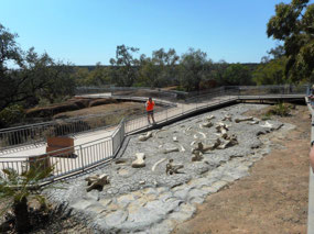 Death in the billabong