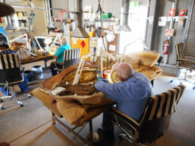 Fossil laboratory
