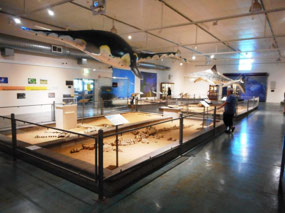 Display area
