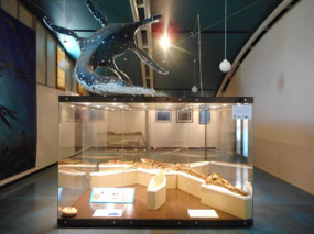Penny the Plesiosaur