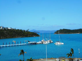 Shute Harbour