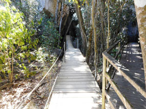 Swing bridge exit from caves