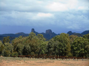Warrumbungle National Park