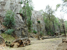 Wambelong Nature Track