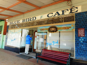 Blue Bird Cafe