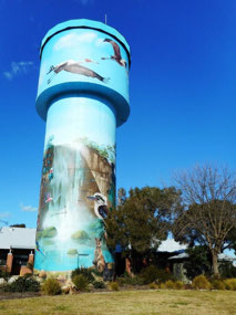 Water tower art