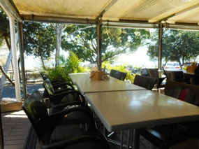 View from The Tree restaurant for lunch
