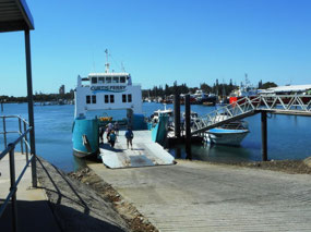 Curtis Endeavour II