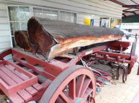 George Sirett's bulock wagon
