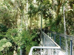View back from the cantilever