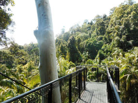 View out from the cantilever