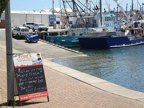 Advertising board for Fred's cruise