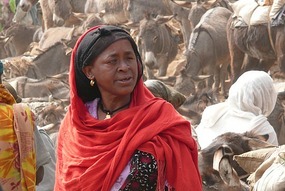Gondar Market