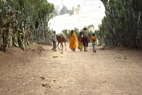 leaving Dodola