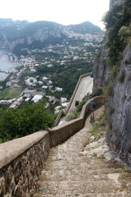 Only 900 steps to go . . .