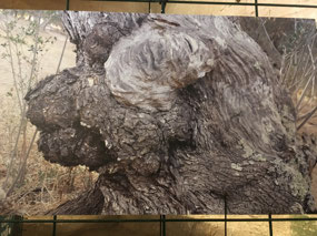 Art 3