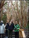 af Noelle and Amy in the Arrayan forest
