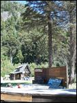 cv Colonia Suiza