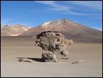 cn The Arbol de Piedra