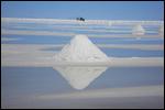 fh A salt volcano!!