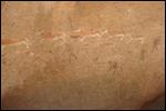 Brandberg rock art