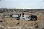 The watering hole beside the camp site - Etosha