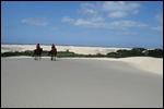 Horse riding in J-Bay
