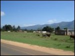 Swaziland