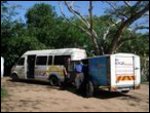 The Baz Bus