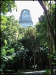 Tikal
