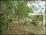 A 'tree house' at the Parrots Nest
