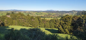Scenery on route from the Bay of Islands