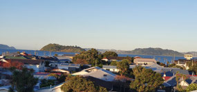 View of Wellington Harbour