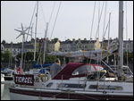 Settled in Bangor