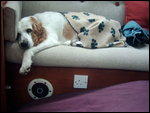 Hard work this sailing!
