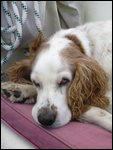 I was just resting my eyes - honest!