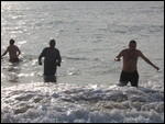 Christmas Swimmers