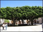 Marsala Piazza