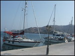 Patmos - A Brace of Falcons