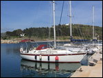 Lakki - Tiercel Launched