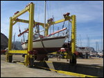 Lakki - Tiercel Launching